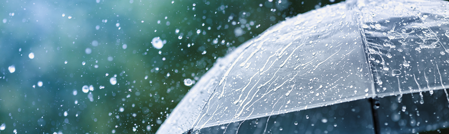 Umbrella Insurance
